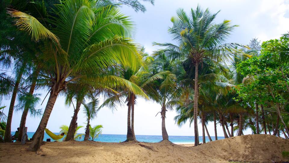 Azul Beach which includes tropical scenes and a beach