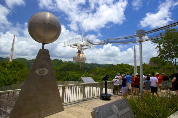 Arecibo Observatorium mit einem Waldmotive und Observatorium