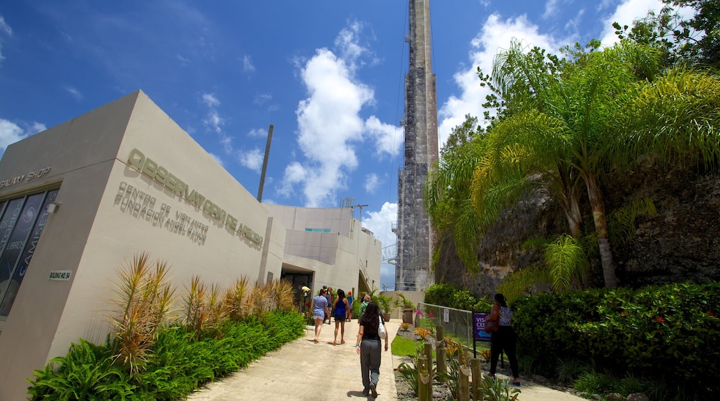 Observatorio de Arecibo que incluye un observatorio