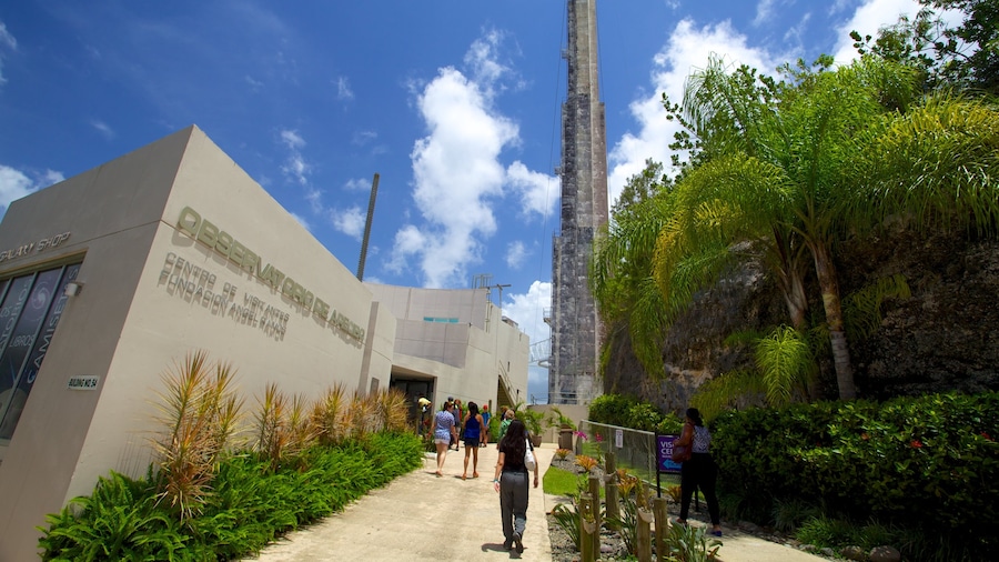Arecibo Observatory featuring an observatory