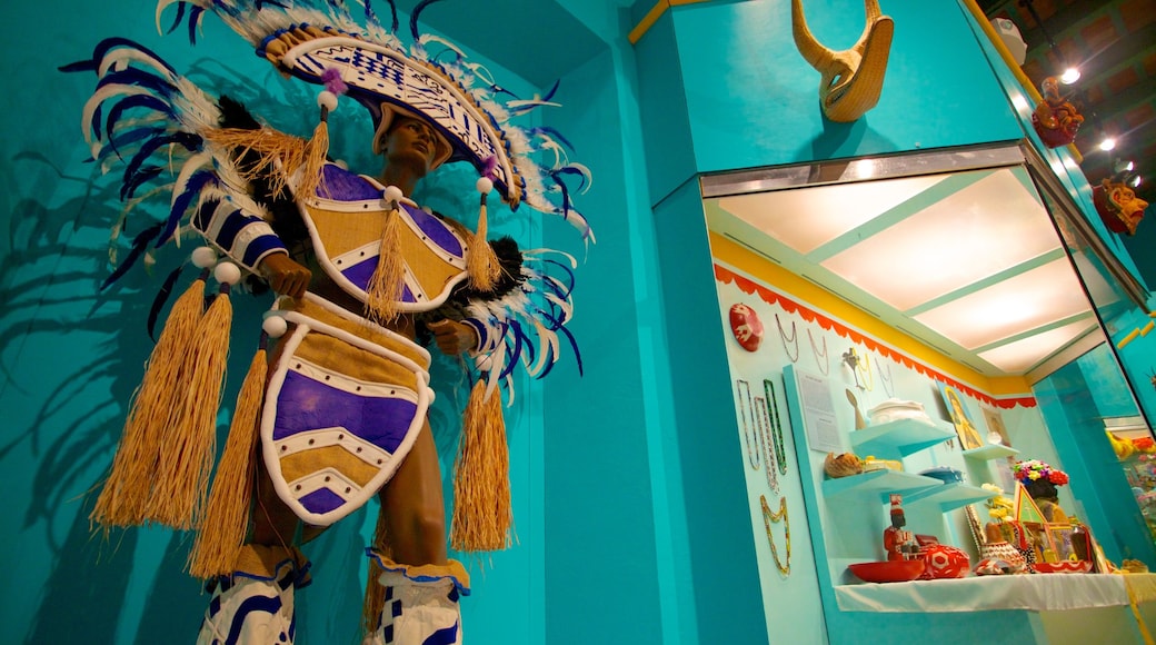 Museo de Las Americas showing interior views and indigenous culture