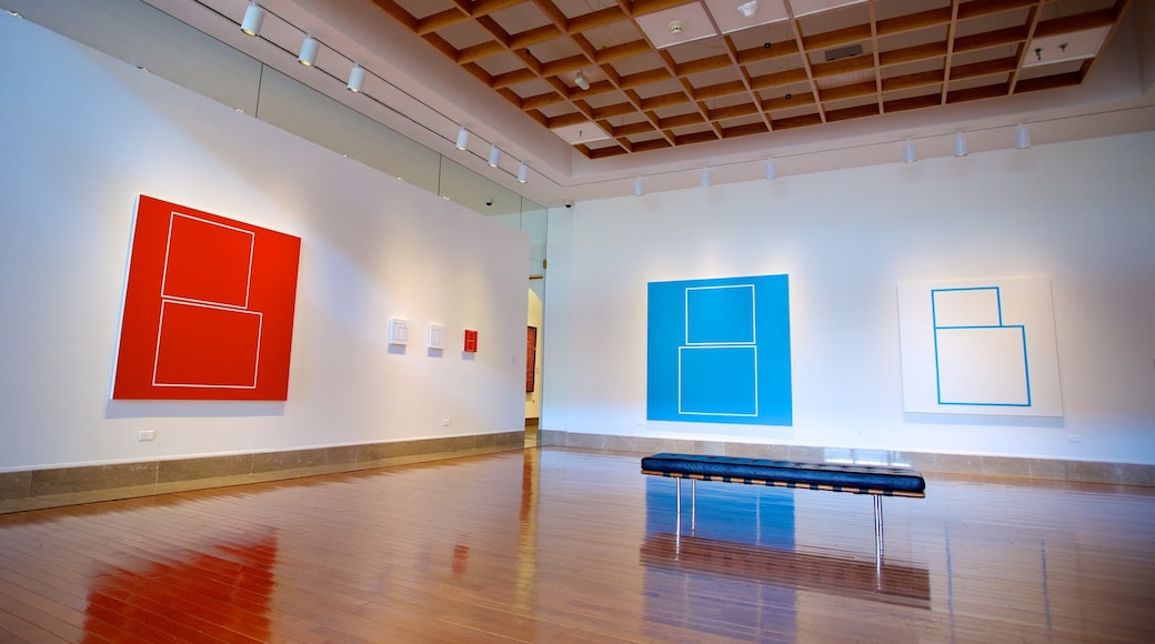 Museo de Arte de Puerto Rico showing art and interior views