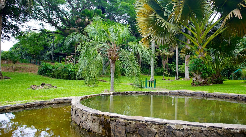 Jardin Botanico featuring a pond, tropical scenes and a park