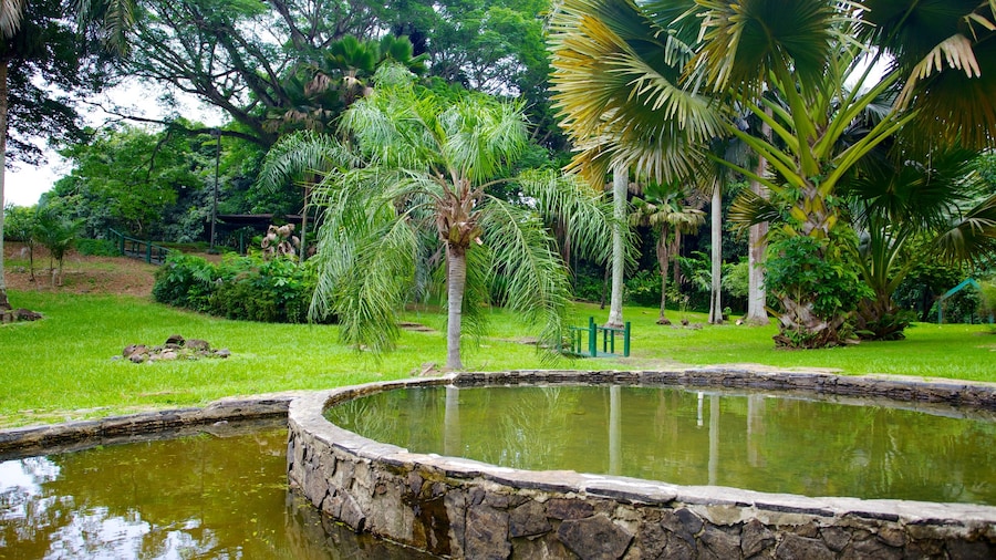 JardĂn botĂĄnico mettant en vedette mare, scĂšnes tropicales et jardin