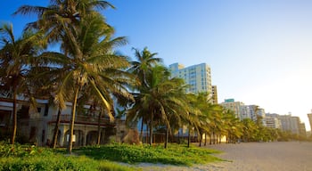 San Juan featuring tropical scenes, a city and a beach