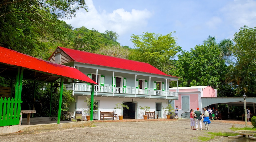 Hacienda Buena Vista ofreciendo escenas urbanas y una casa y también un pequeño grupo de personas