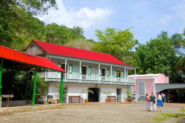 Hacienda Buena Vista welches beinhaltet Straßenszenen und Haus sowie kleine Menschengruppe