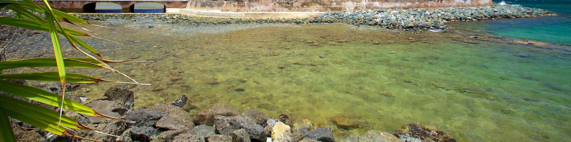 Fort San Jeronimo featuring heritage elements and rugged coastline