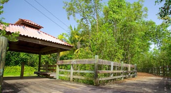 Puerto Rico og byder på skovområder