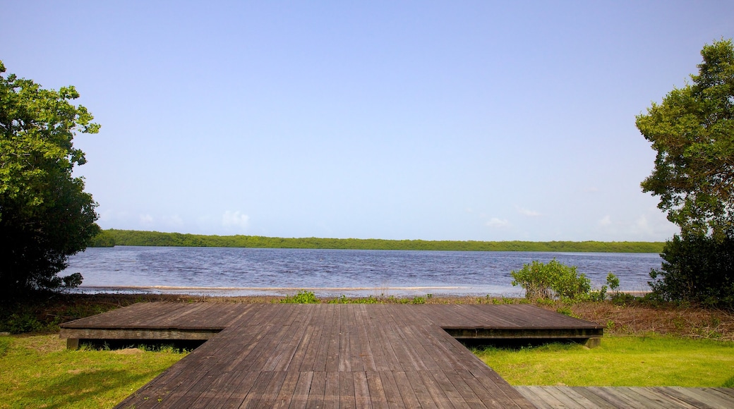 Porto Rico montrant lac ou étang et vues littorales