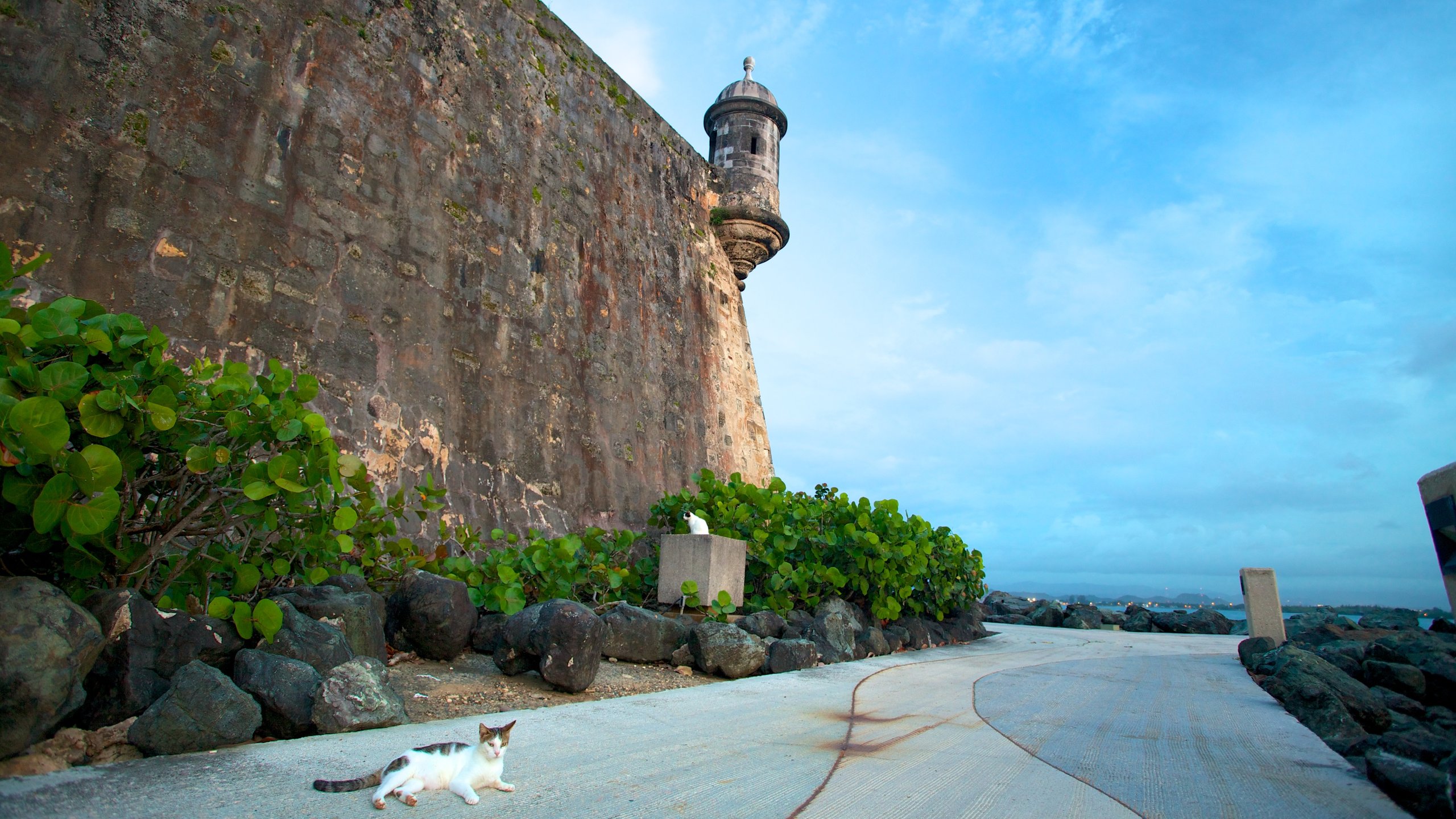 Old San Juan, Puerto Rico - Viejo San Juan - 2024 Tourism / Travel Guide