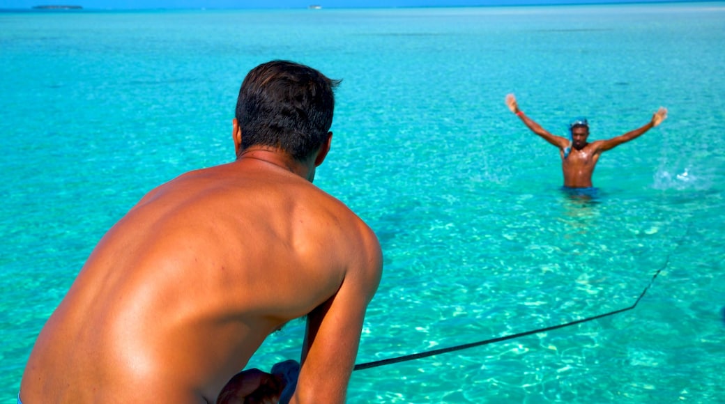 Isla de Malolo que incluye escenas tropicales, natación y vistas generales de la costa