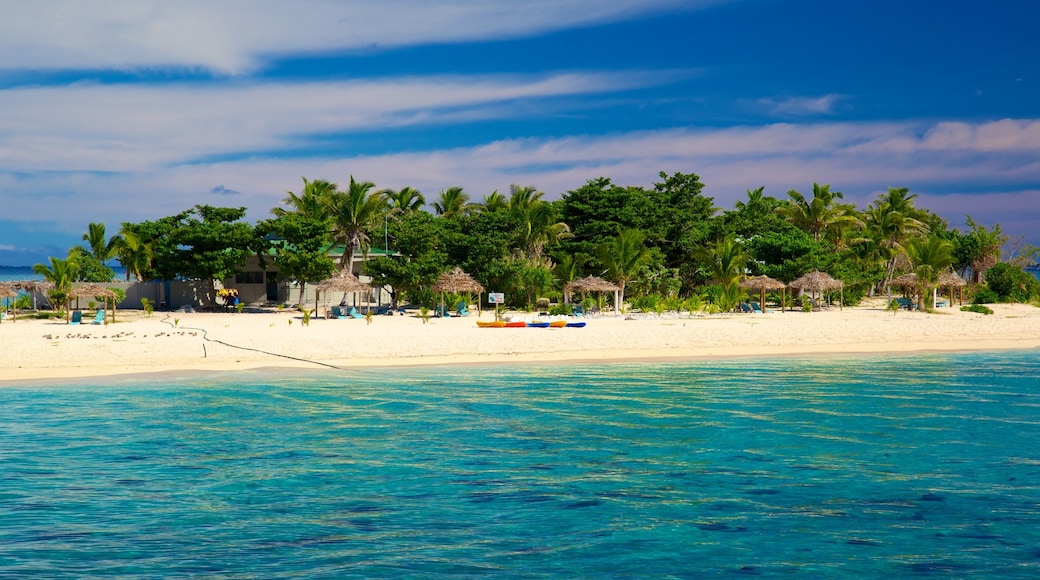 Fiji ofreciendo escenas tropicales, una playa y imágenes de una isla