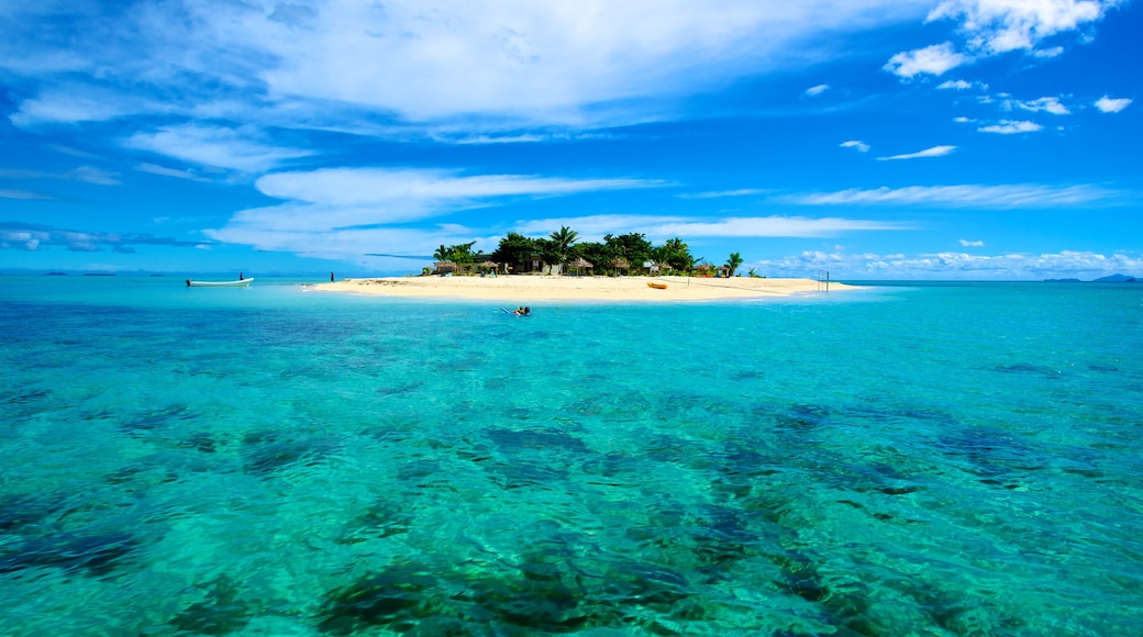 Fiji que incluye vistas de una isla y escenas tropicales