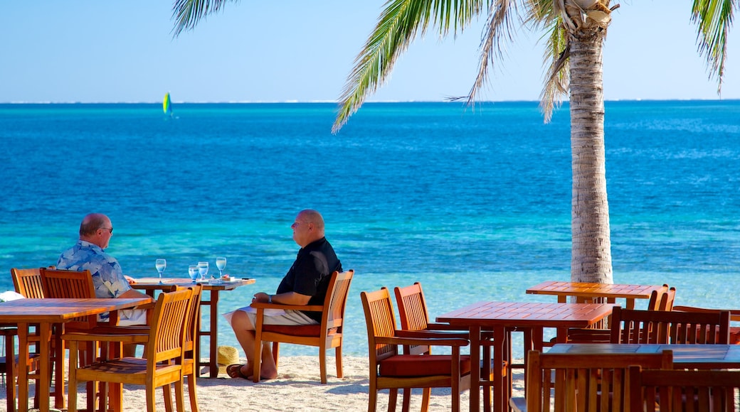 Castaway Island showing a beach, a luxury hotel or resort and tropical scenes