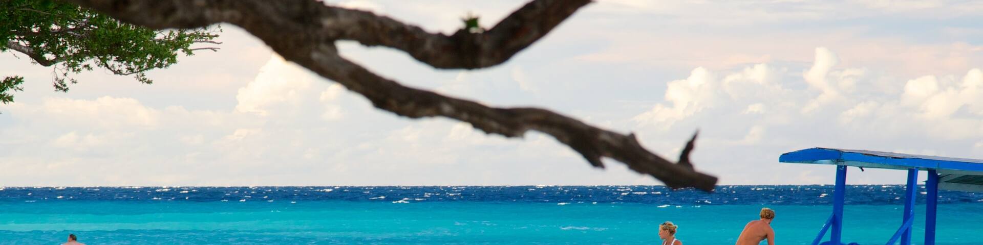 Gili Islands which includes boating, swimming and general coastal views