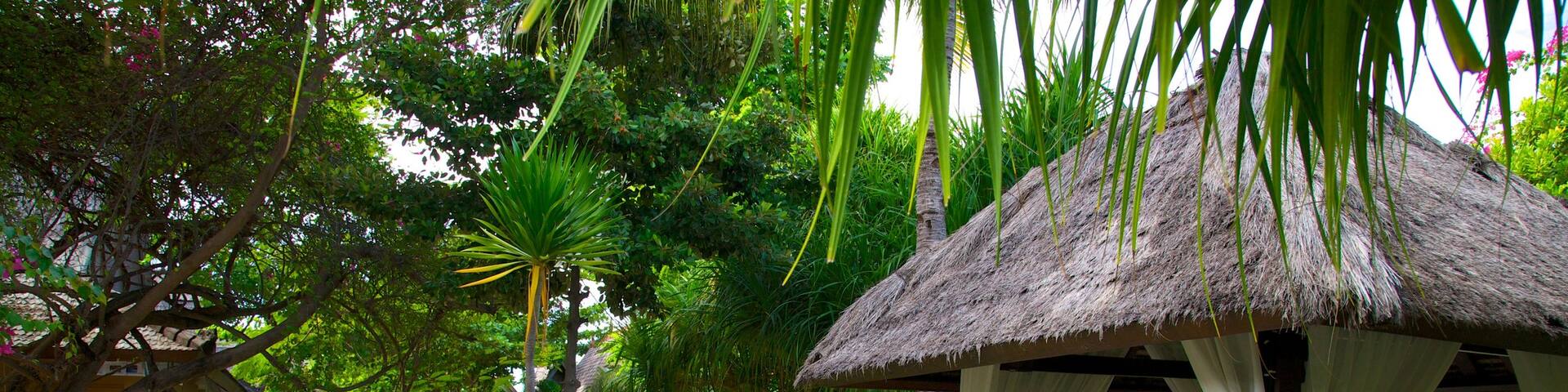 Gili Islands showing tropical scenes and a luxury hotel or resort