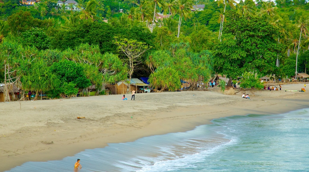 Lombok which includes a sandy beach