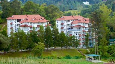 Cameron Highlands