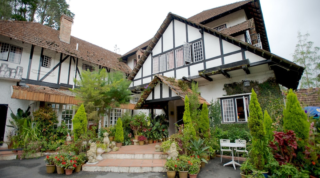 Cameron Highlands mit einem Haus