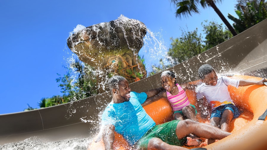 Disney's Typhoon Lagoon Water Park