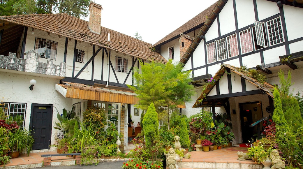 Cameron Highlands showing a house