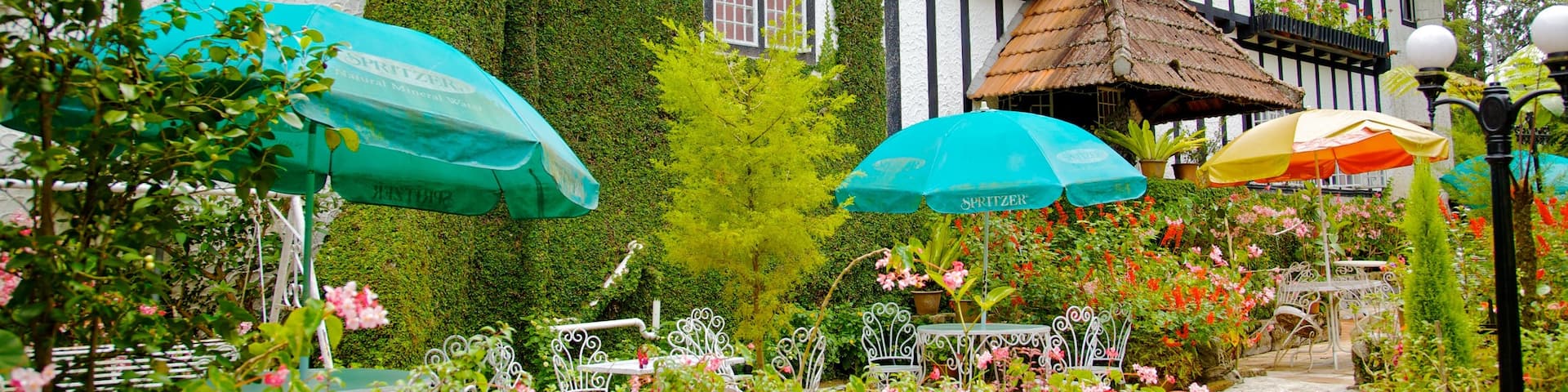 Cameron Highlands which includes a small town or village and a house