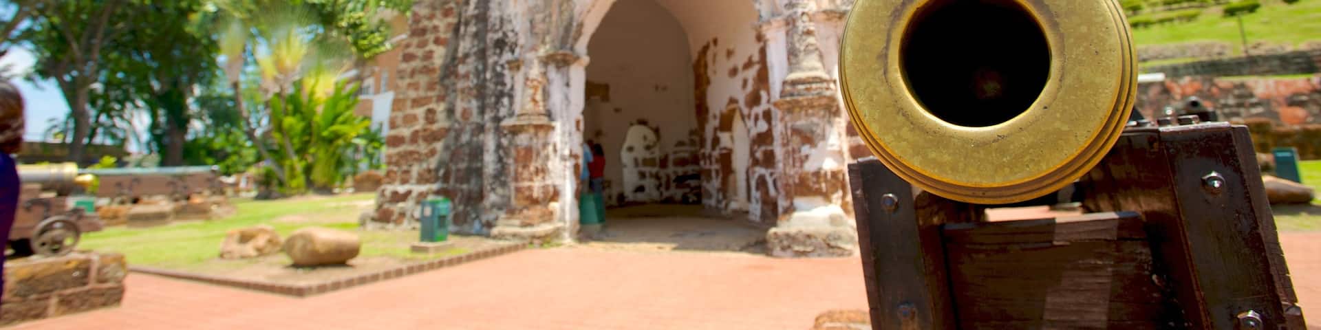 Malacca featuring an administrative building and heritage elements