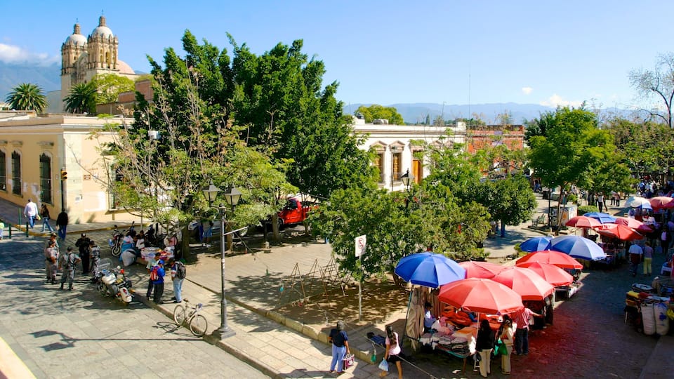 Oaxaca showing a city