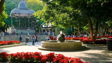 Oaxaca som visar ett torg, en fontän och blommor