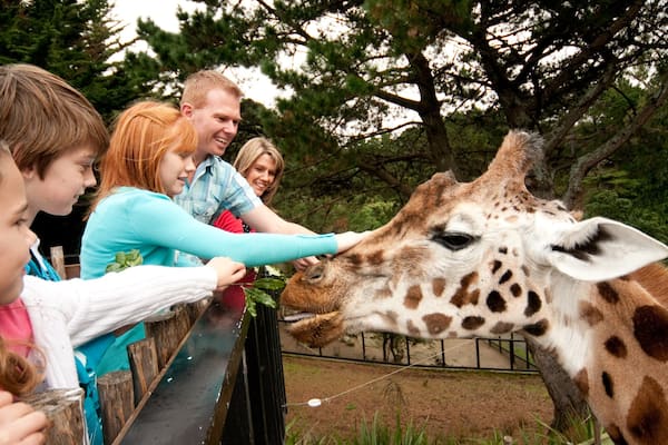 Wellington Zoo featuring land animals and zoo animals as well as a family