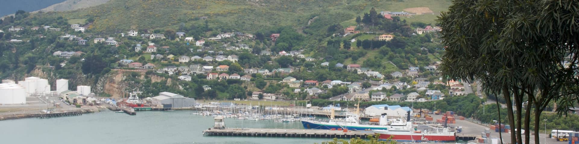 Lyttelton Harbour showing a marina, mountains and a bay or harbor