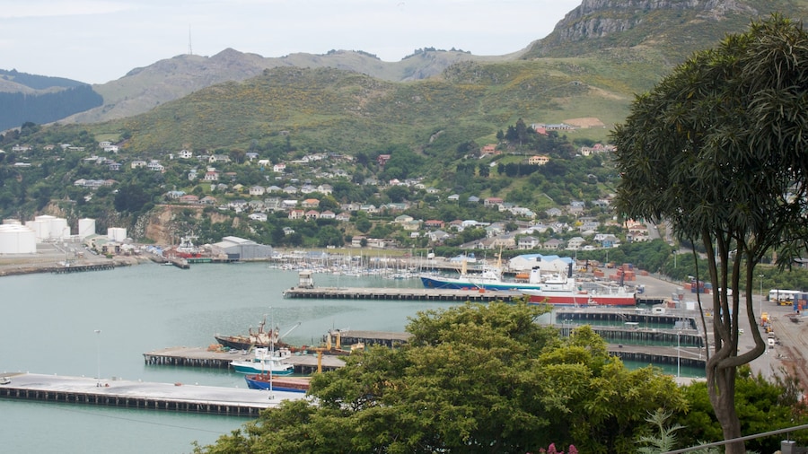 Lyttelton Harbour showing a marina, mountains and a bay or harbor