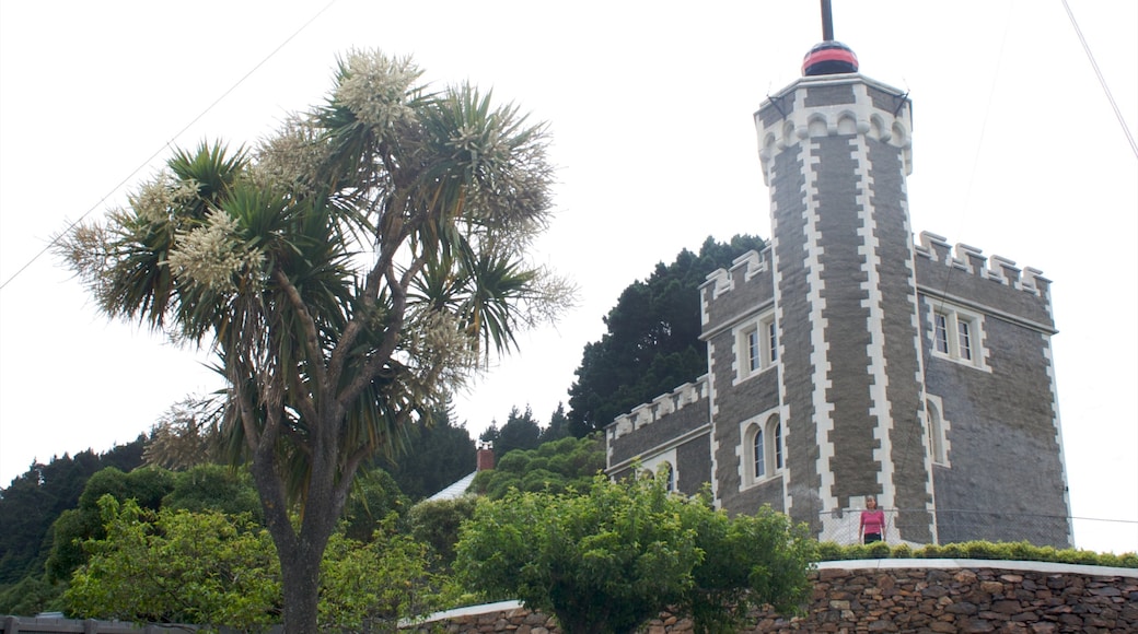 ท่าเรือ Lyttelton ซึ่งรวมถึง ภาพท้องถนน