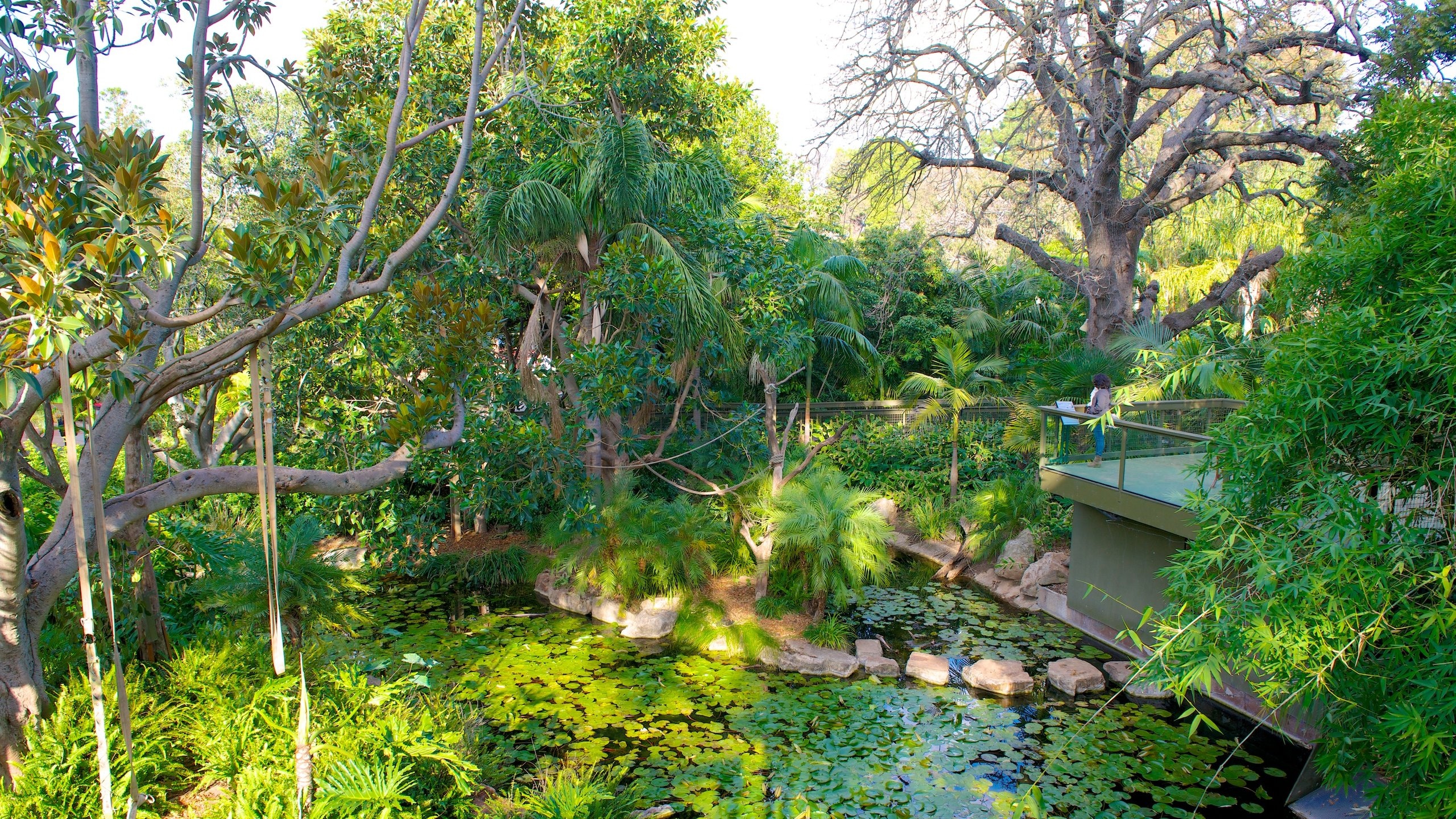 Adelaide Zoo, Adelaide Vacation Rentals hotel rentals & more Vrbo