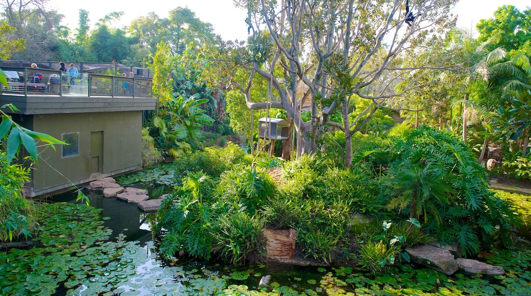 Adelaide Zoo showing a pond and zoo animals