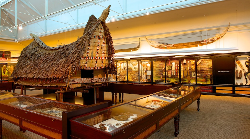 South Australian Museum mostrando vistas interiores