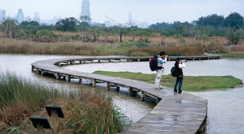 Hong Kong Wetland Park showing general coastal views, wetlands and a garden