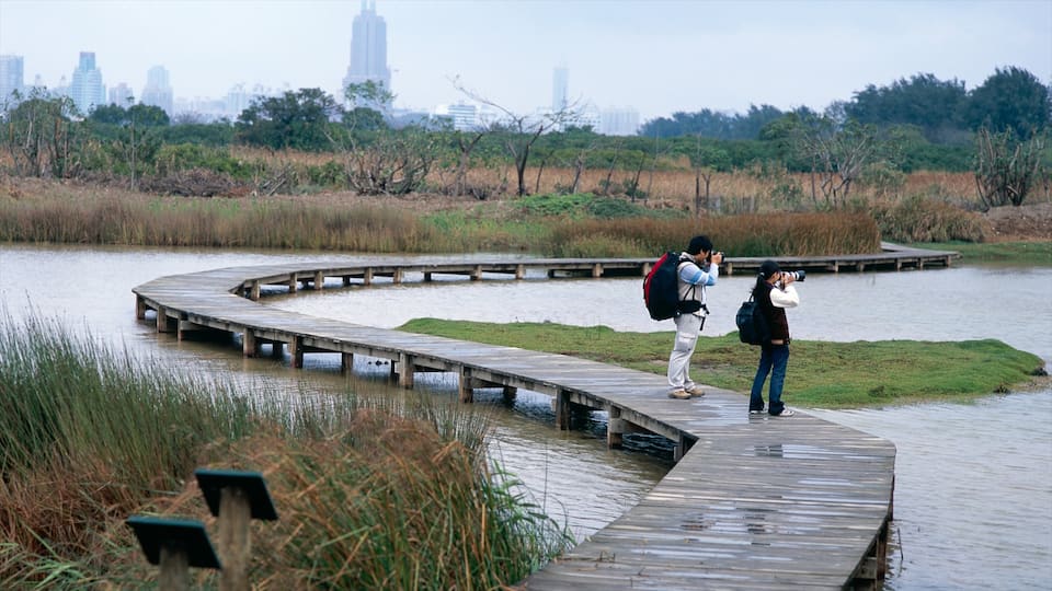 Hong Kong Wetland Park featuring a park, general coastal views and wetlands