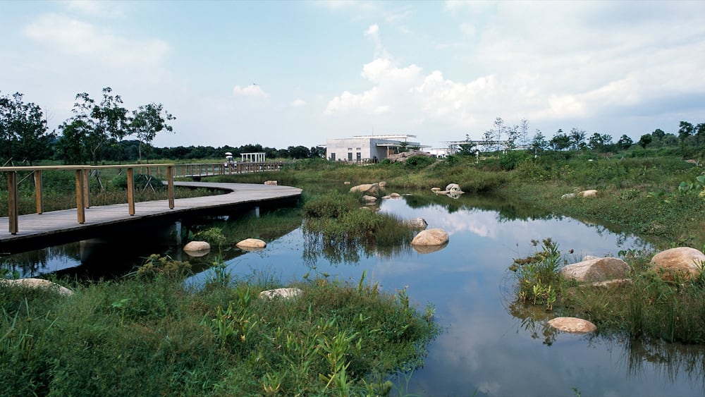 Parc Wetland de Hong Kong qui includes parc et zone humide