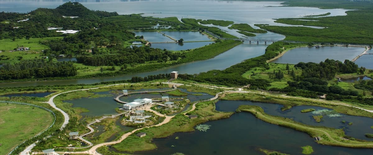 Hong Kong Wetland Park showing wetlands and a garden
