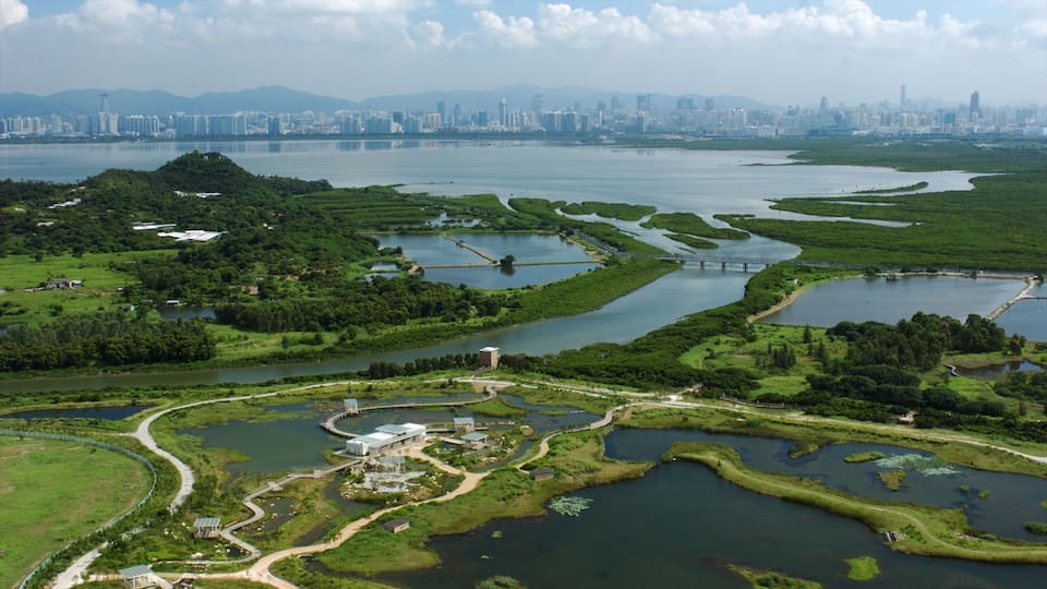Hong Kong Wetland Park showing wetlands and a garden