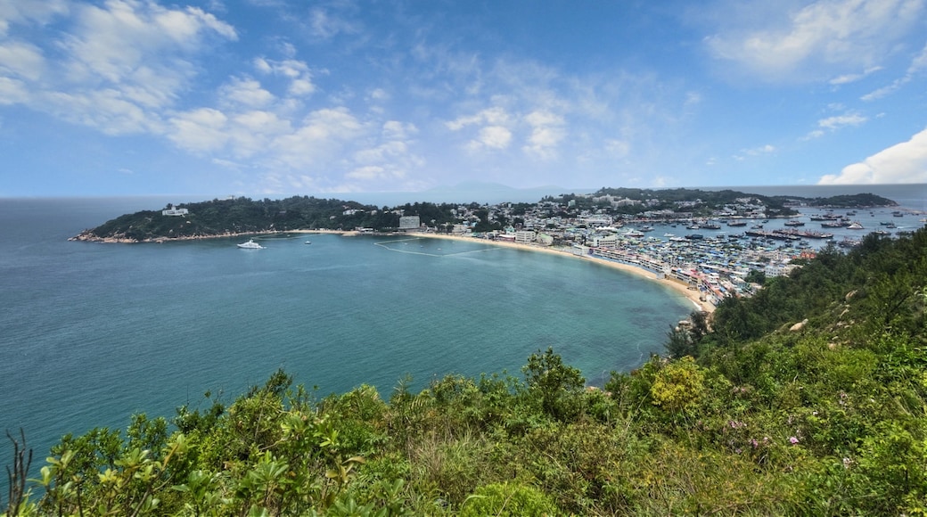 写真提供元 : Hong Kong Tourism Board