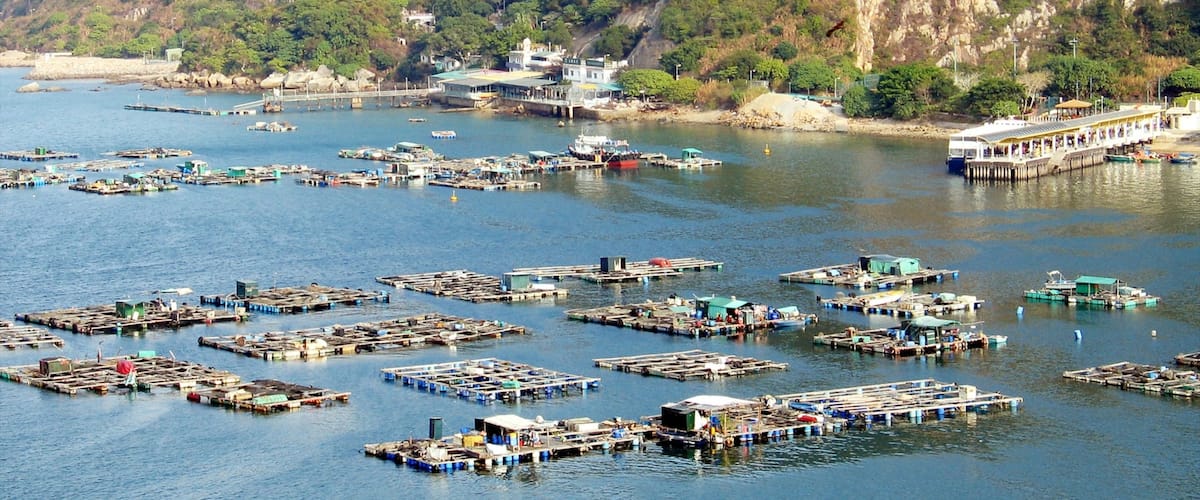 Lamma Island mettant en vedette ville côtière