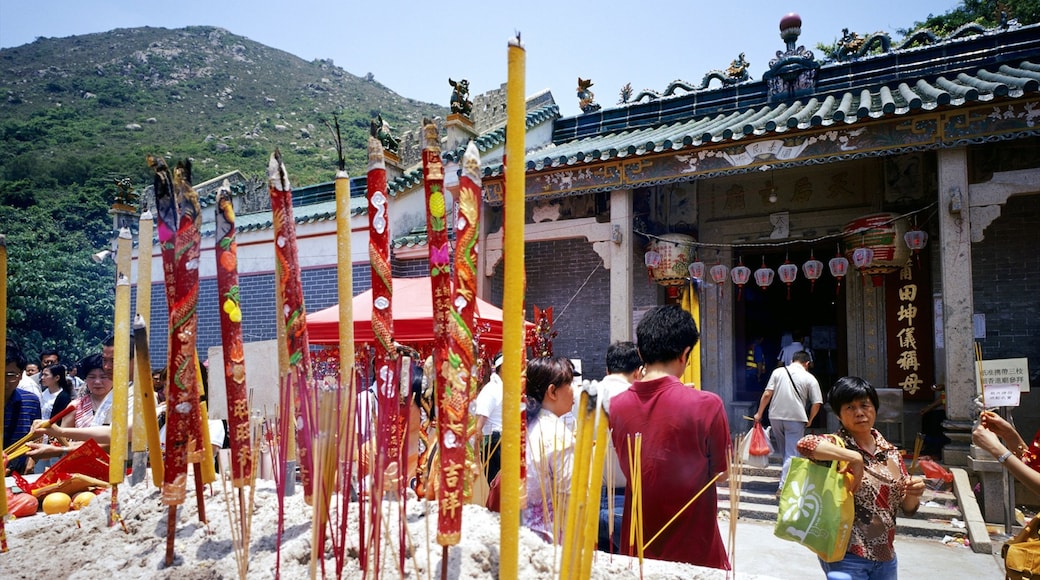 Photo provided by Hong Kong Tourism Board