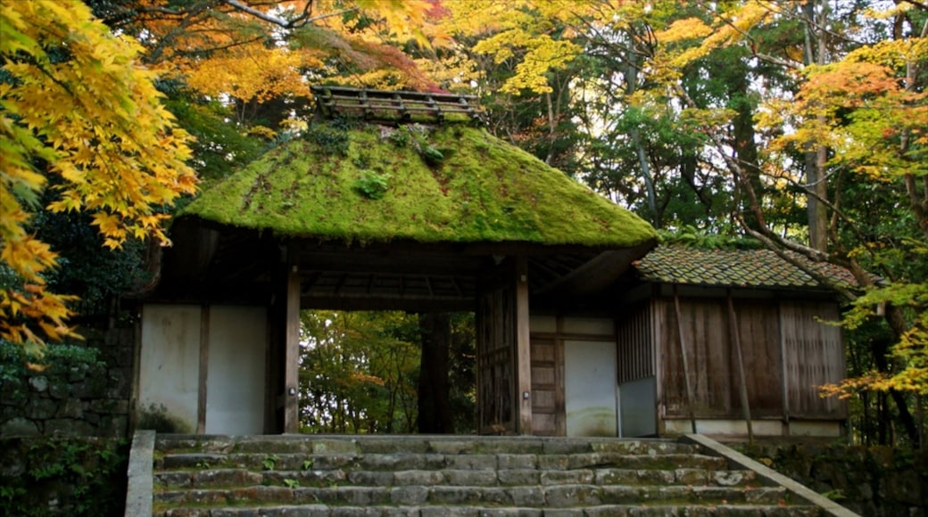 Foto proporcionada por City of Kyoto and Kyoto Tourism Council
