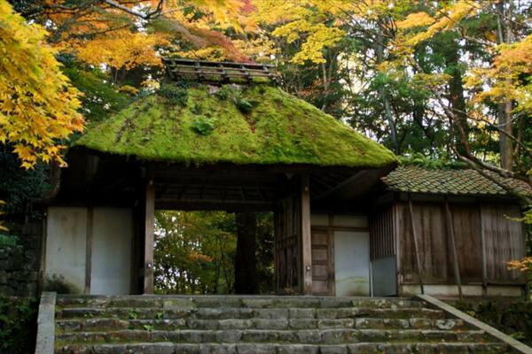 Temple Hōnen-in qui includes éléments religieux, feuilles d\'automne et temple ou lieu de culte