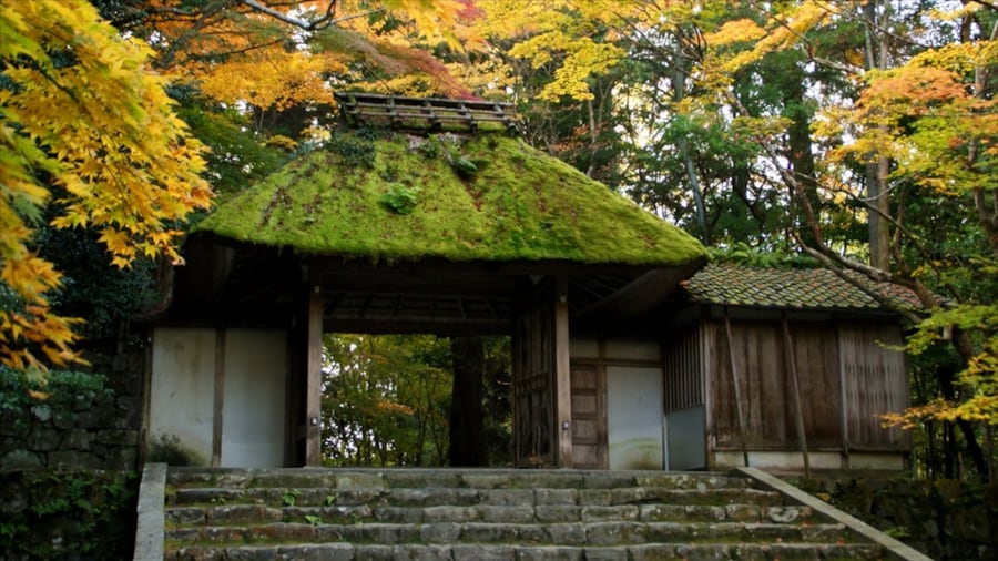 Honen-in Temple featuring autumn colours, religious elements and a temple or place of worship