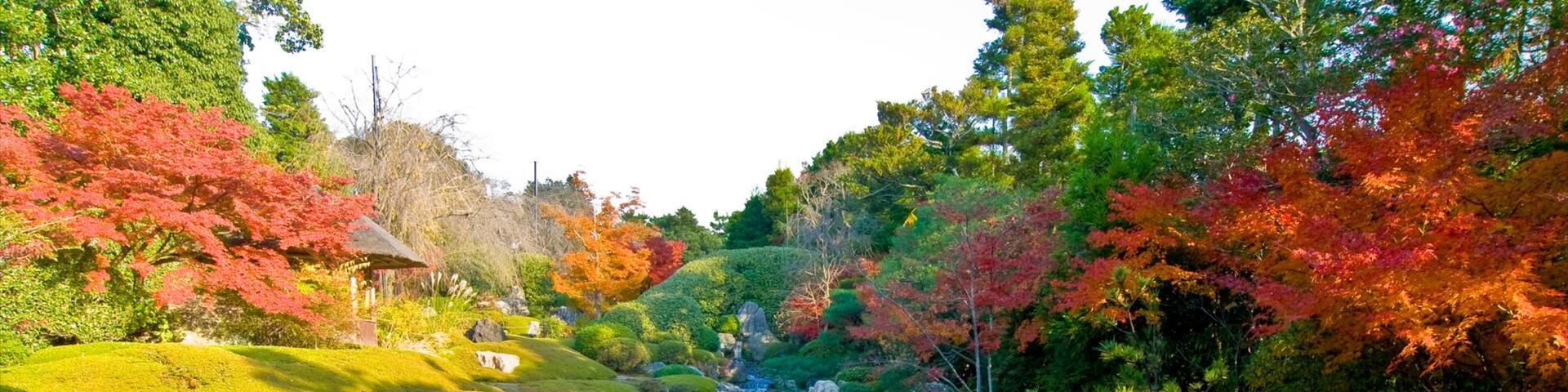 Myoho-in Temple showing autumn colours, a pond and a park