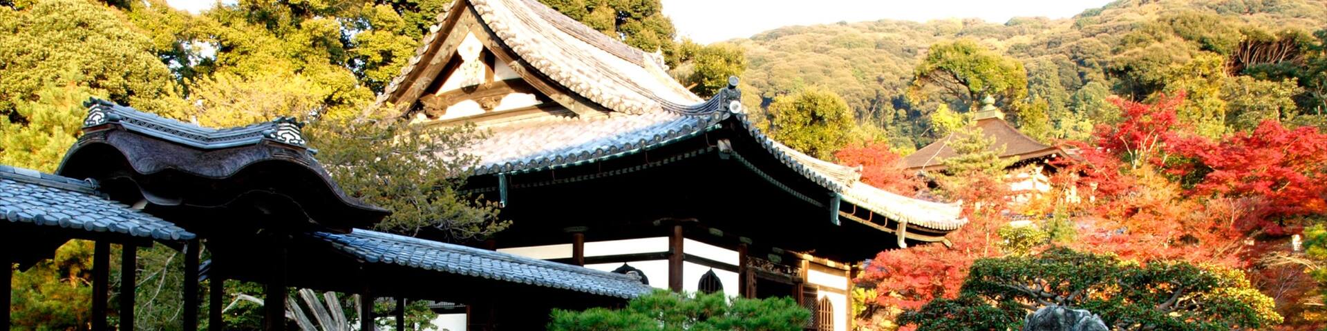 Kodaiji Temple which includes a temple or place of worship, religious aspects and a park
